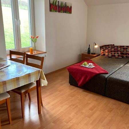 Karlovice Horsky Apartman V Karlovicich公寓 外观 照片