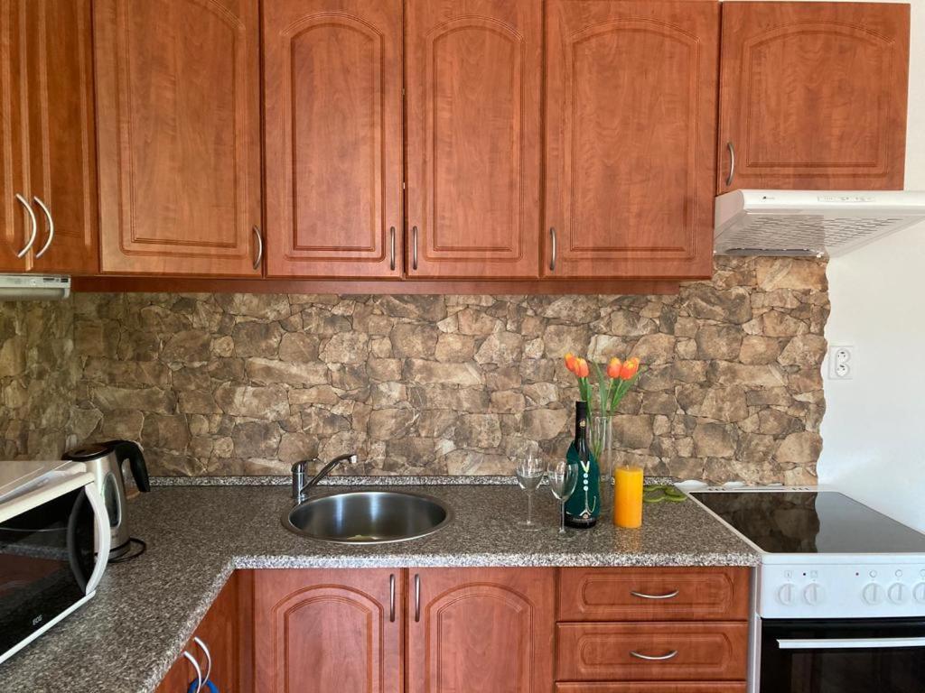 Karlovice Horsky Apartman V Karlovicich公寓 外观 照片