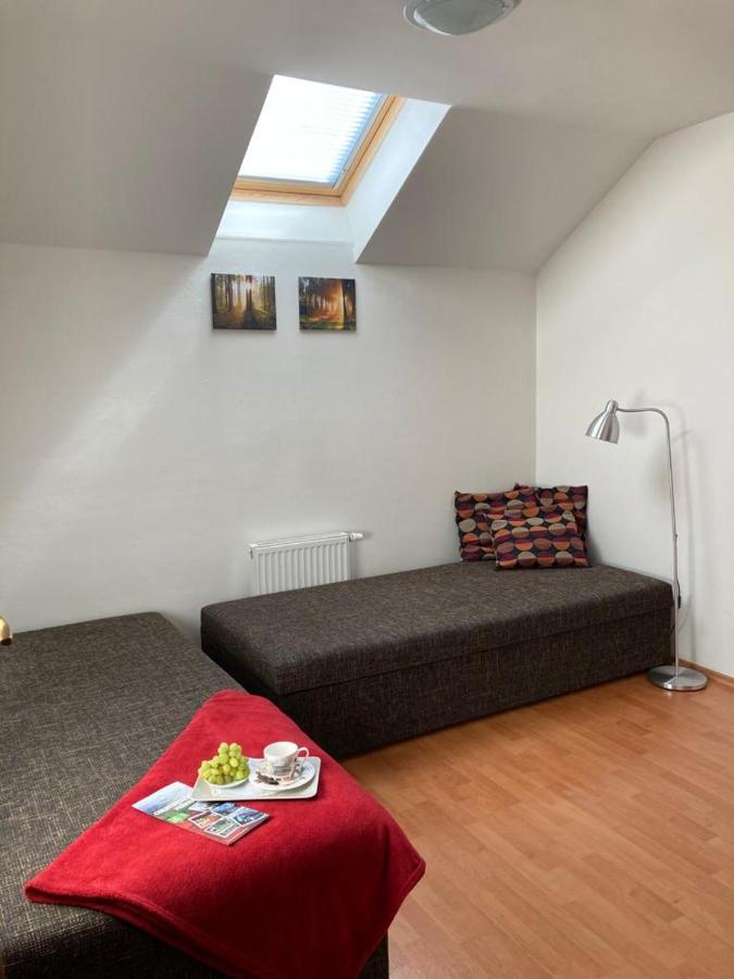 Karlovice Horsky Apartman V Karlovicich公寓 外观 照片